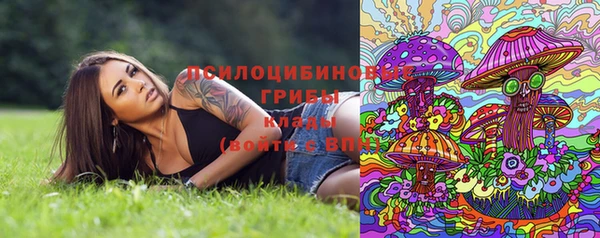 гидра Богданович