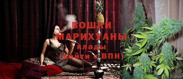 гидра Богданович