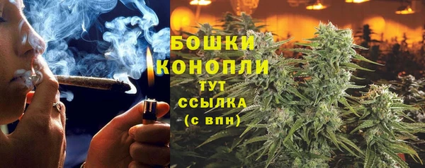 МДПВ Богородск