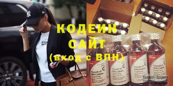 гидра Богданович