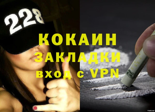 гидра Богданович