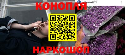 ПСИЛОЦИБИНОВЫЕ ГРИБЫ Бийск
