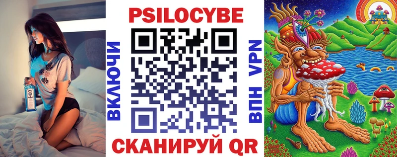 купить наркотик  Гудермес  Псилоцибиновые грибы Psilocybine cubensis 