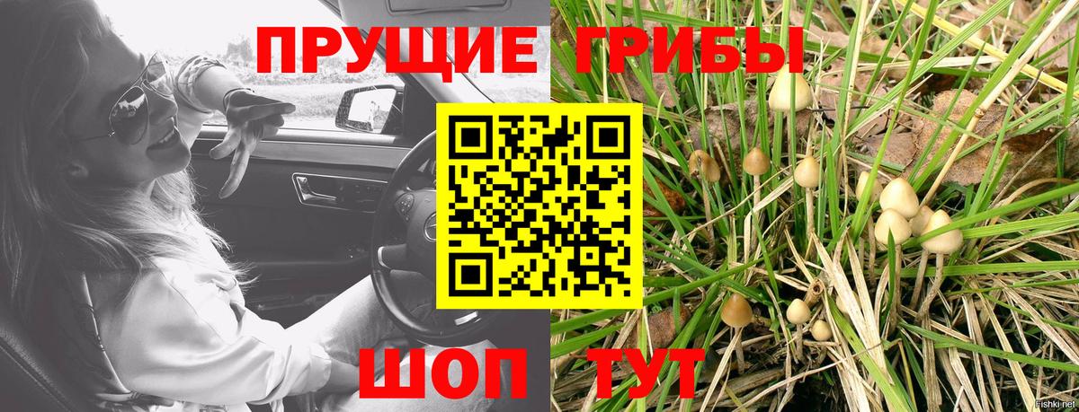 Псилоцибиновые грибы прущие грибы Гудермес
