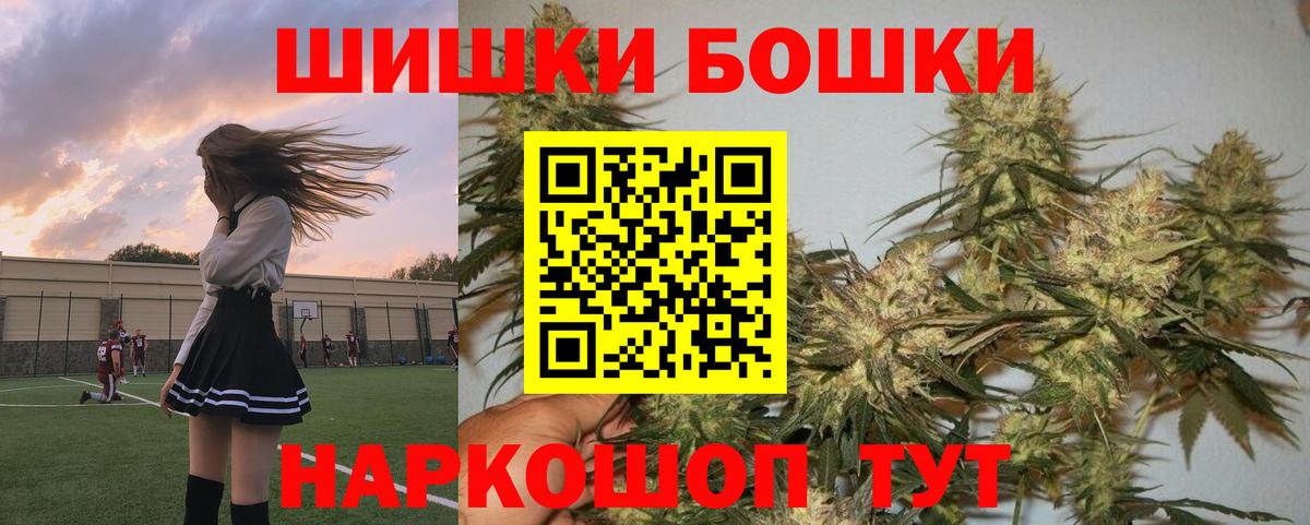 Каннабис сатива Гудермес