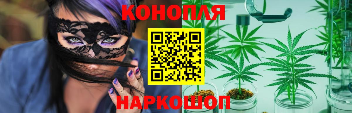 Бошки марихуана MAZAR  Шишки марихуана VHQ  Гудермес  Канабис Ganja 